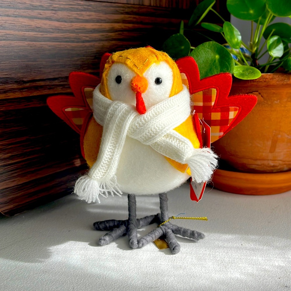 Coco: Plaid Turkey Feathery Friends Thanksgiving - Target Hyde & EEK! 2023